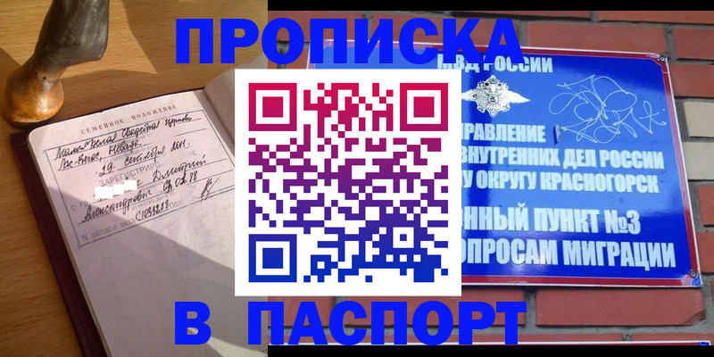 регистрация в квартире в Новозыбкове